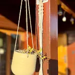 Ahs - Refugio Perfeito Na Natureza Em Loulé